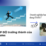 4 cấp độ trưởng thành của đội sales – Doanh nghiệp bạn đang ở đâu?
