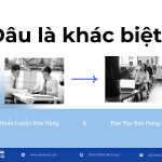 Huấn luyện bán hàng hay đào tạo bán hàng – đâu là khác biệt?