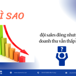 Vì sao đội sales đông nhưng doanh thu vẫn thấp?