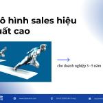 Mô hình sales hiệu suất cao cho doanh nghiệp 3–5 năm